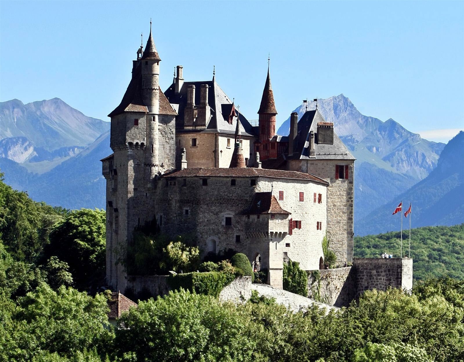 JamDeLaLoose_Microscopique