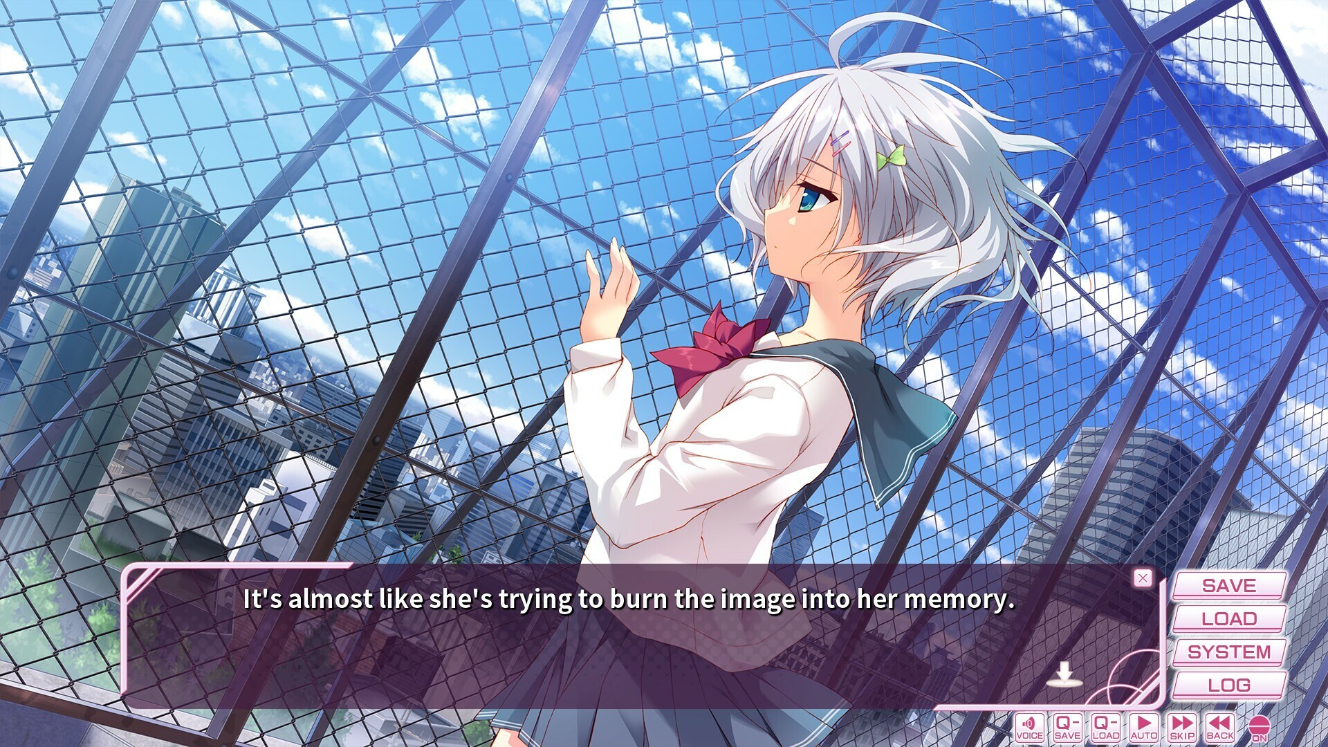 Image 3985048