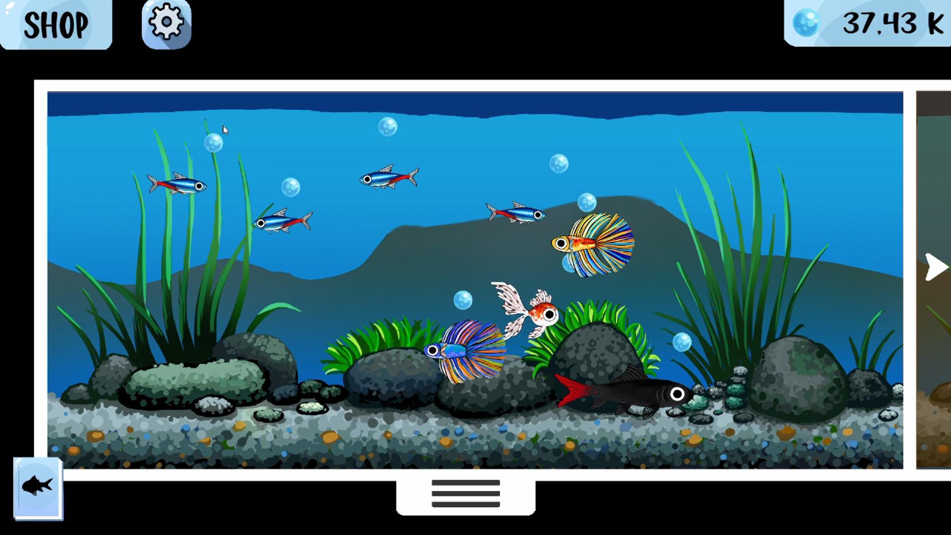 Aquascape (Jodi Chapson)