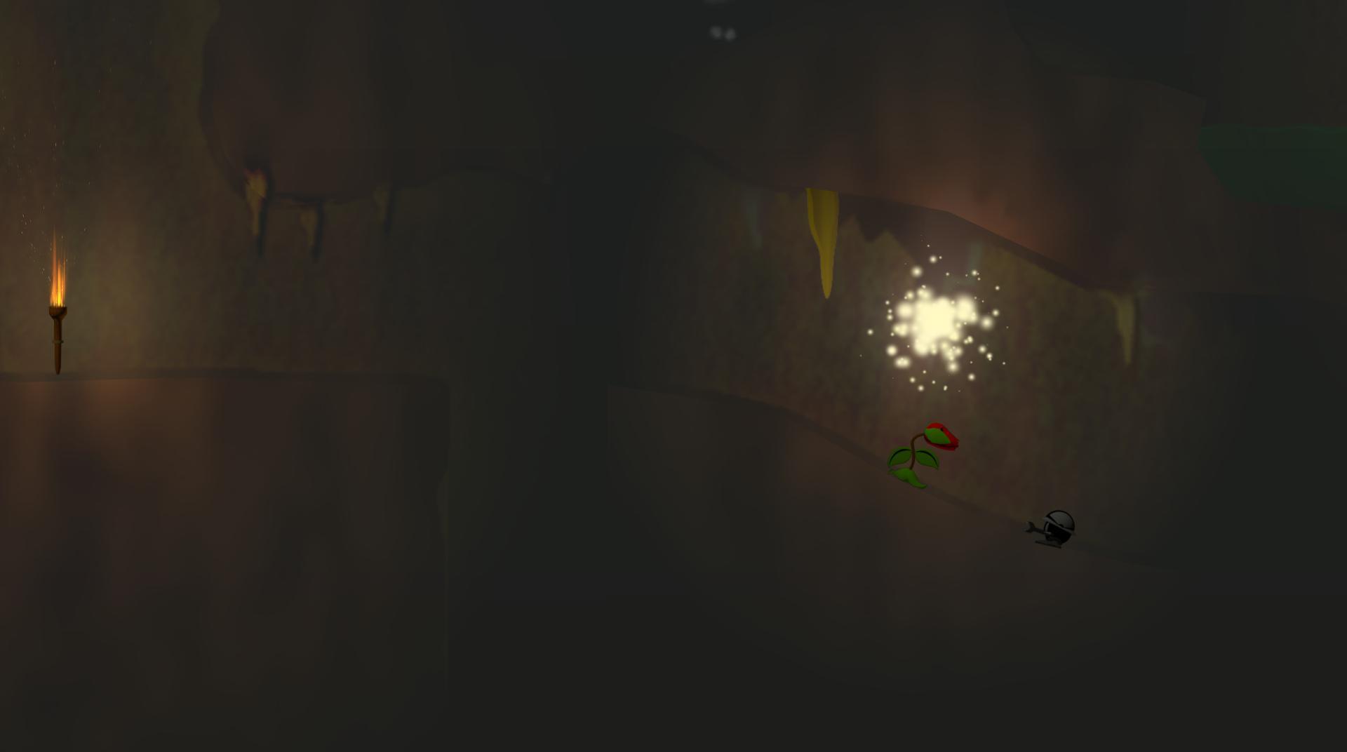 The Blooming of Life