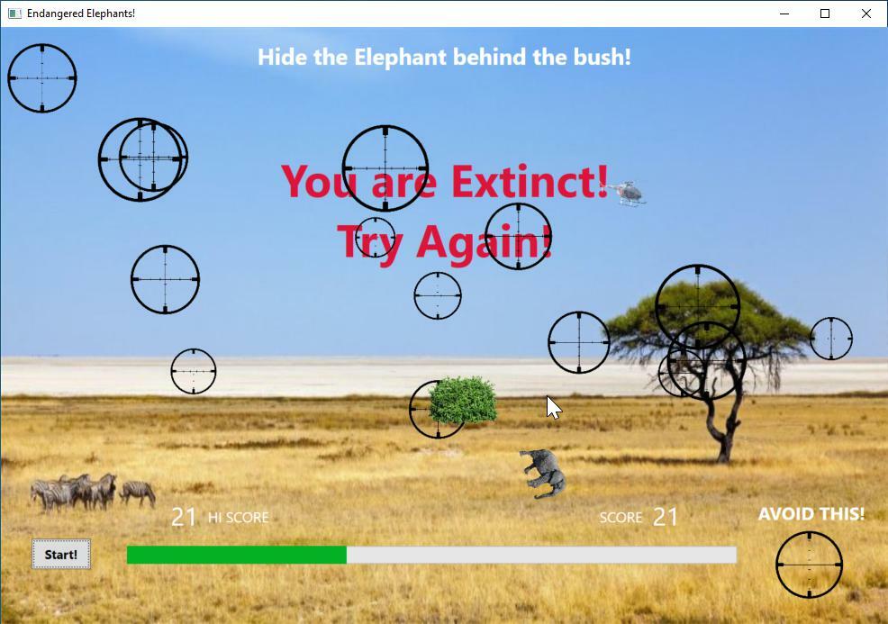 Endangered Elephants!