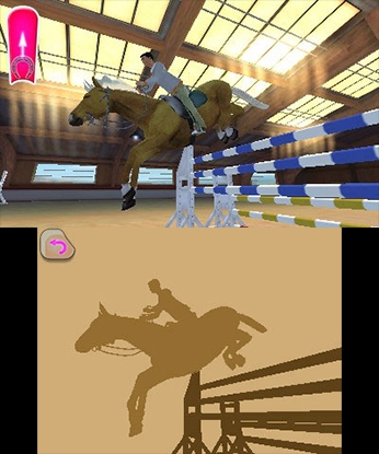 I Love My Horse