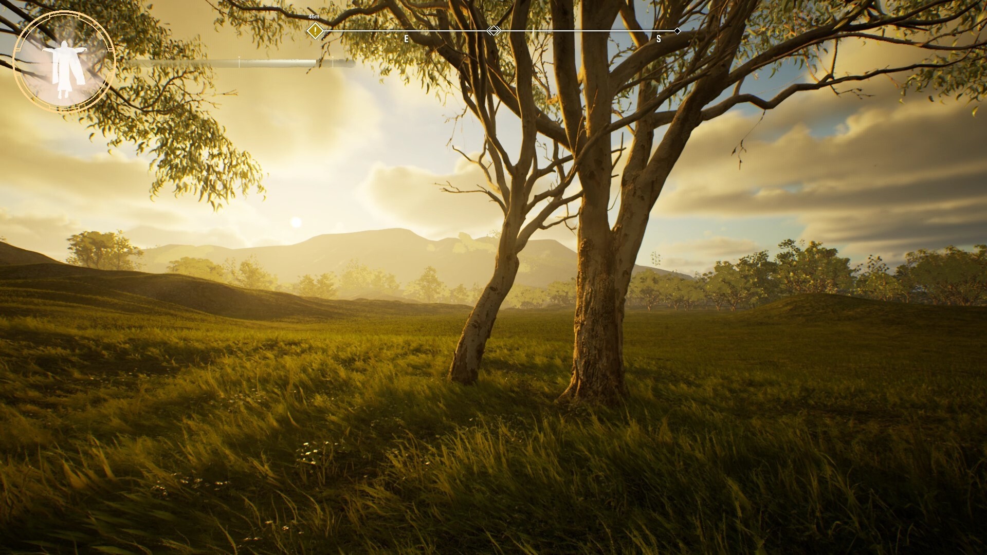 Image 3671948