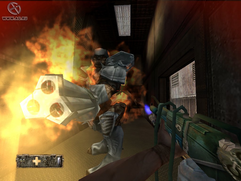 Image 380239