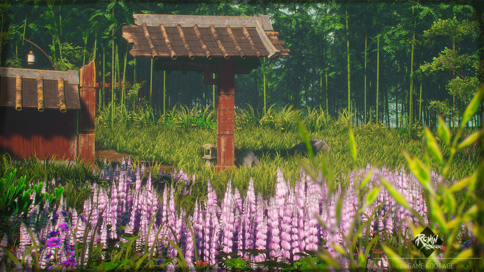 Ronin: Two Souls One Body