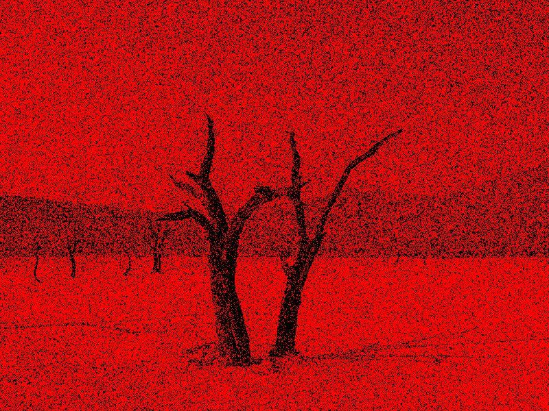 Another Brain Circle Desert