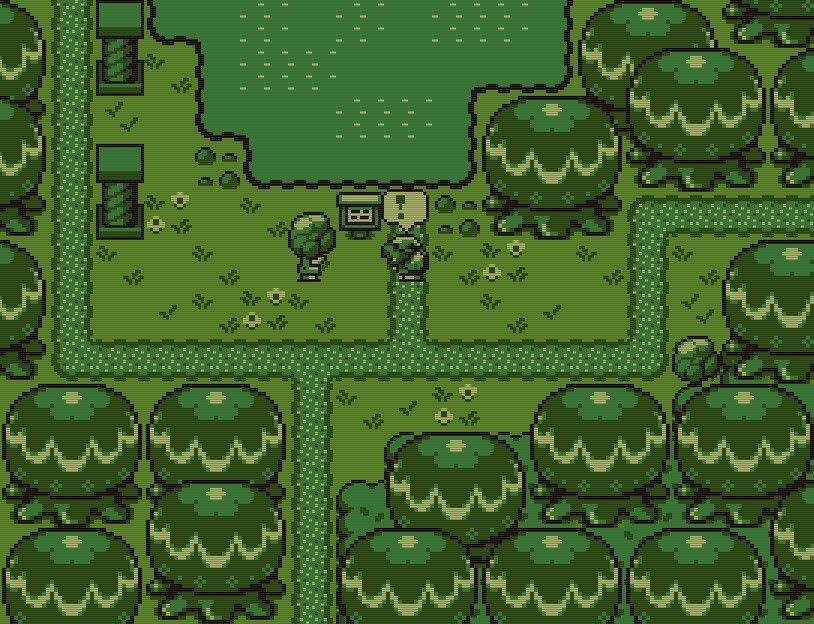 Timothy ティモシー -神秘の森