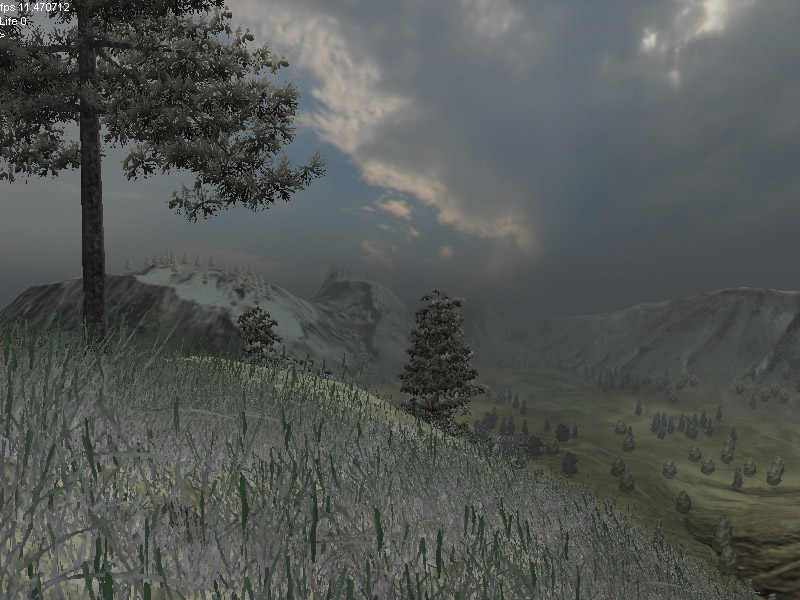 Image 401281