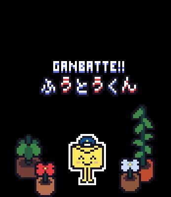 Postal Training Program