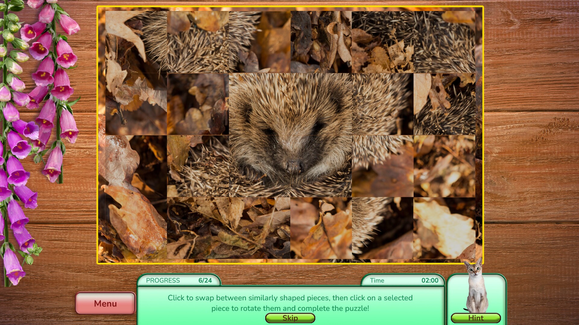 I Love Finding Critters