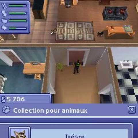 The Sims 2 Apartment Pets - release date, videos, screenshots 