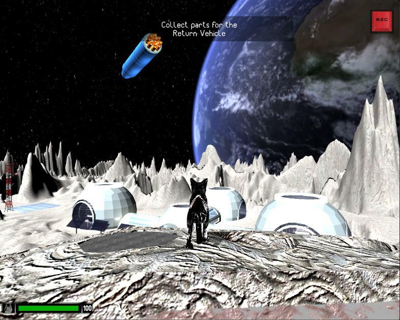 Winston is Stuck on the Moon