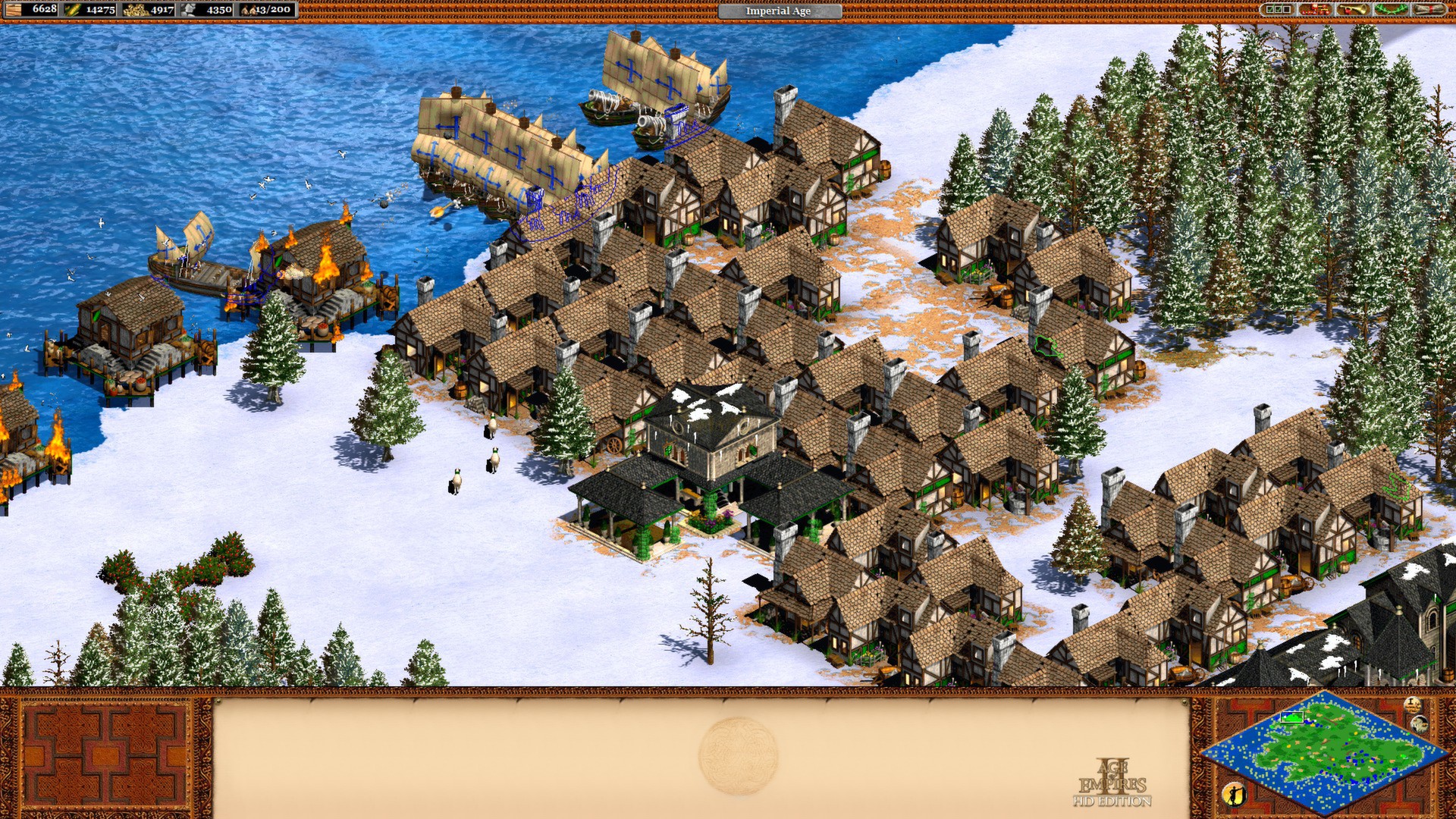 Age of Empires II HD