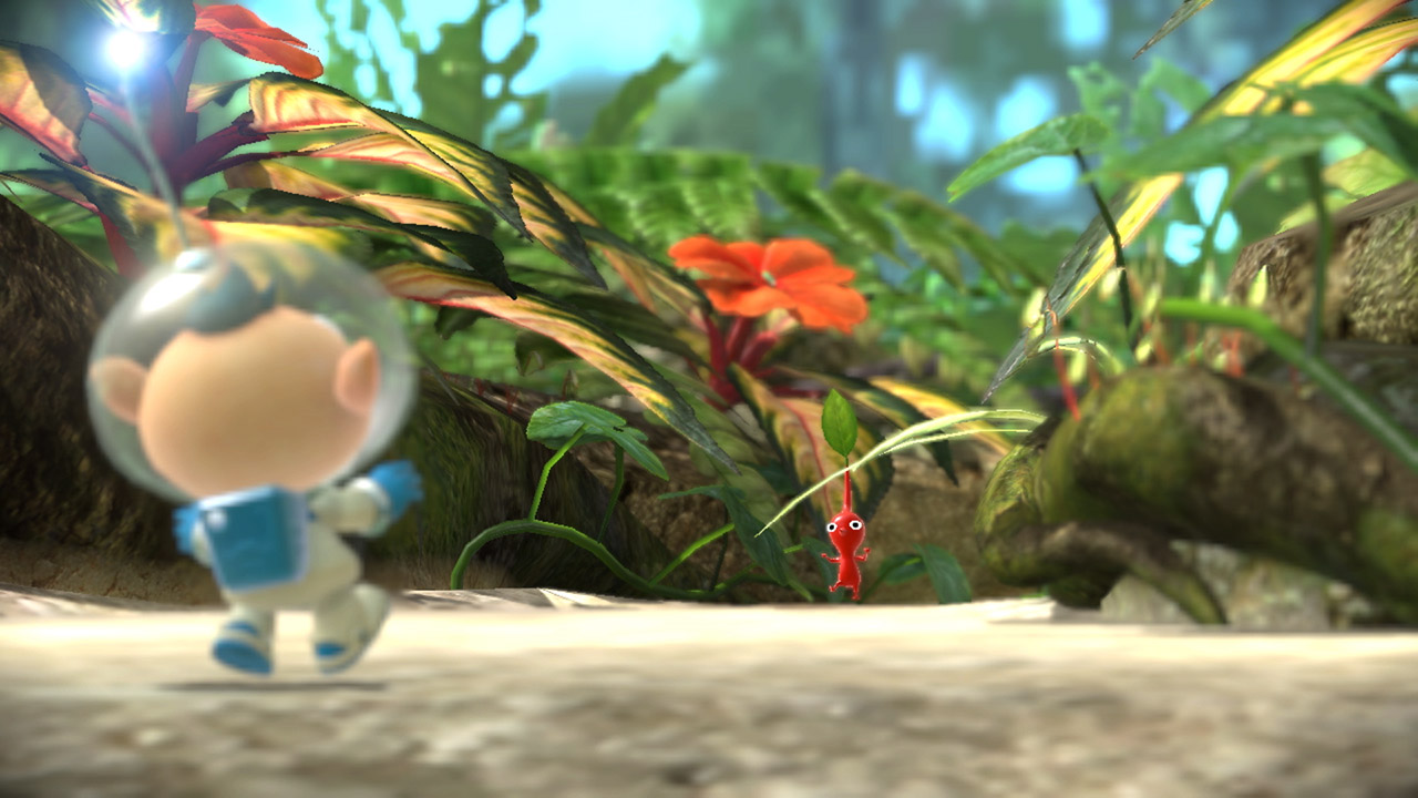 Image 2505845