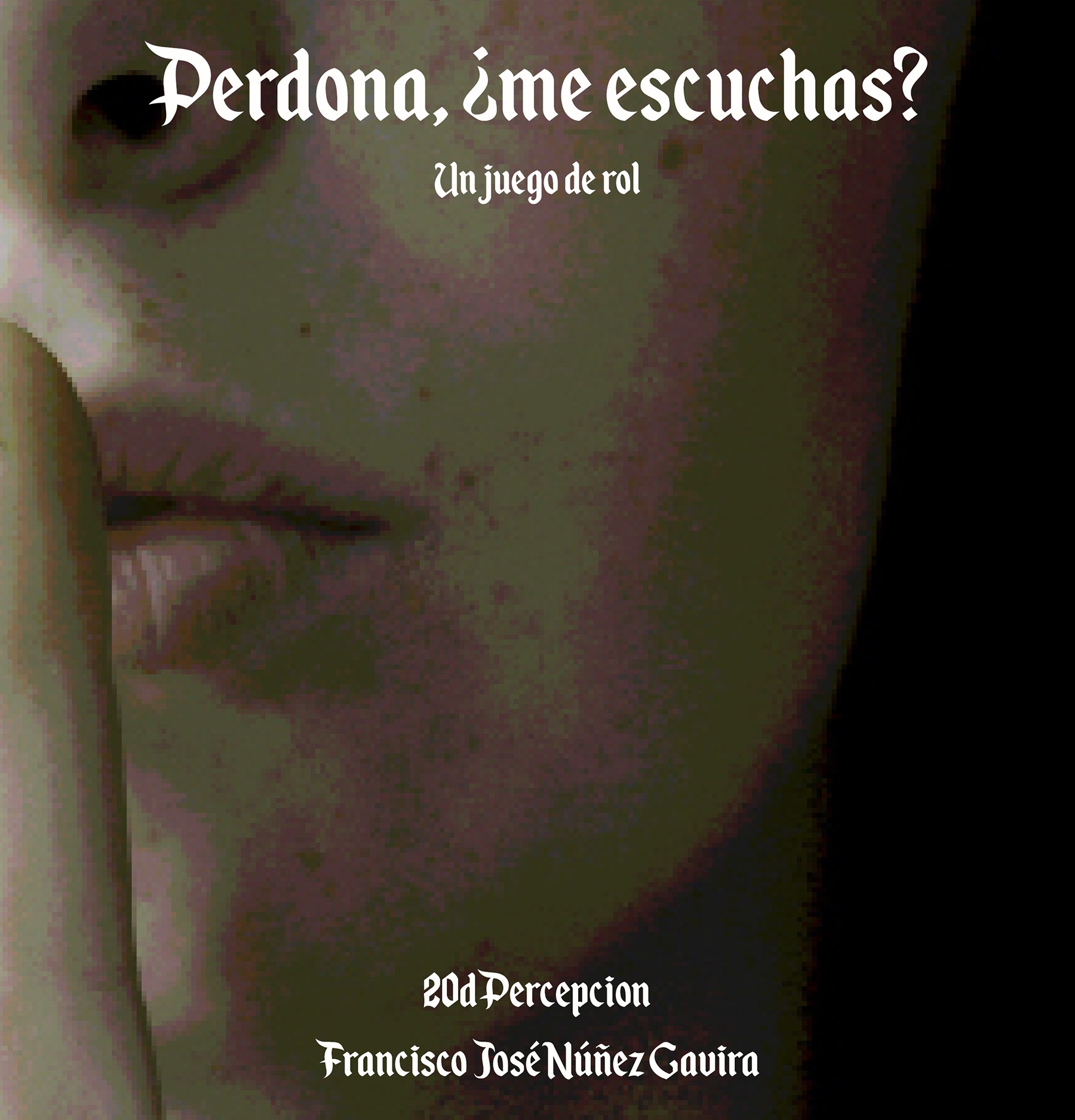 Perdona, ¿me escuchas?