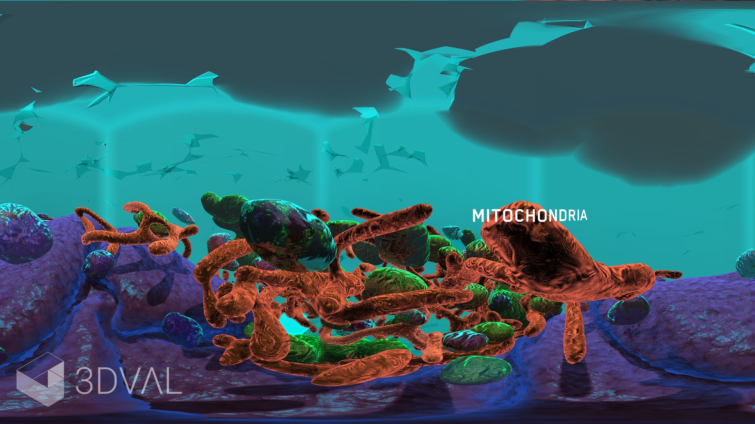 Journey to the Centre of the Cell