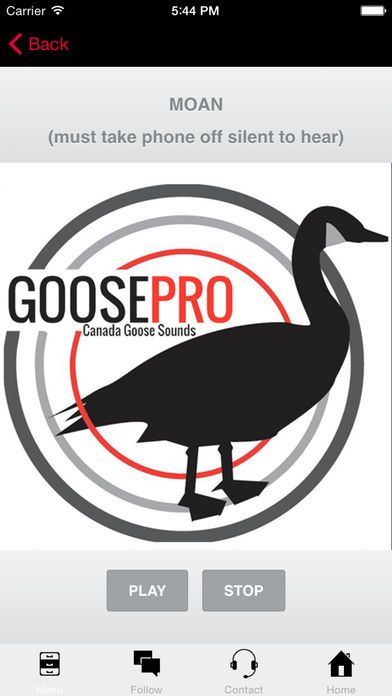 Goose Hunting Calls-Goose Sounds-Goose Call App