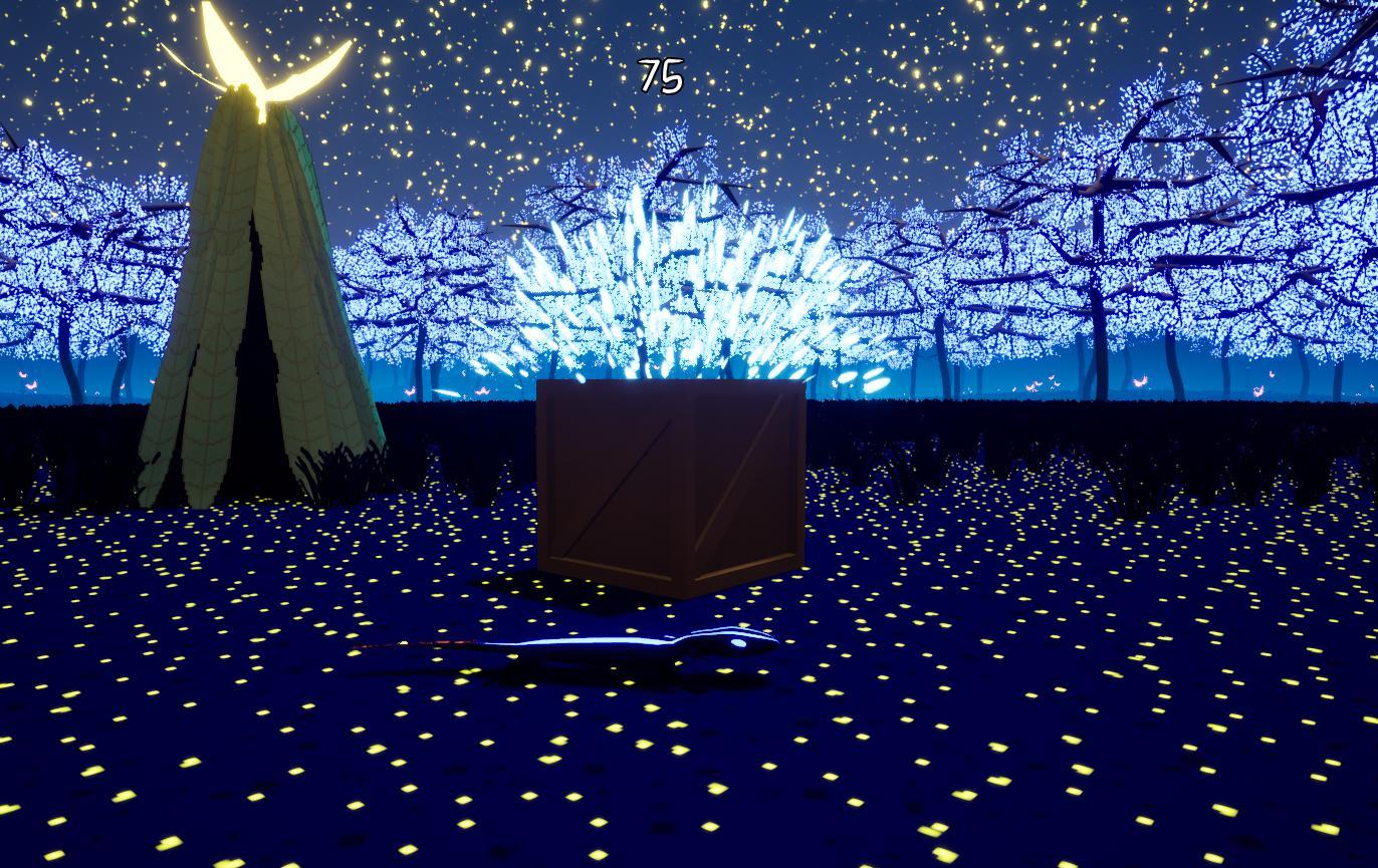 Two Sides to a Seeker