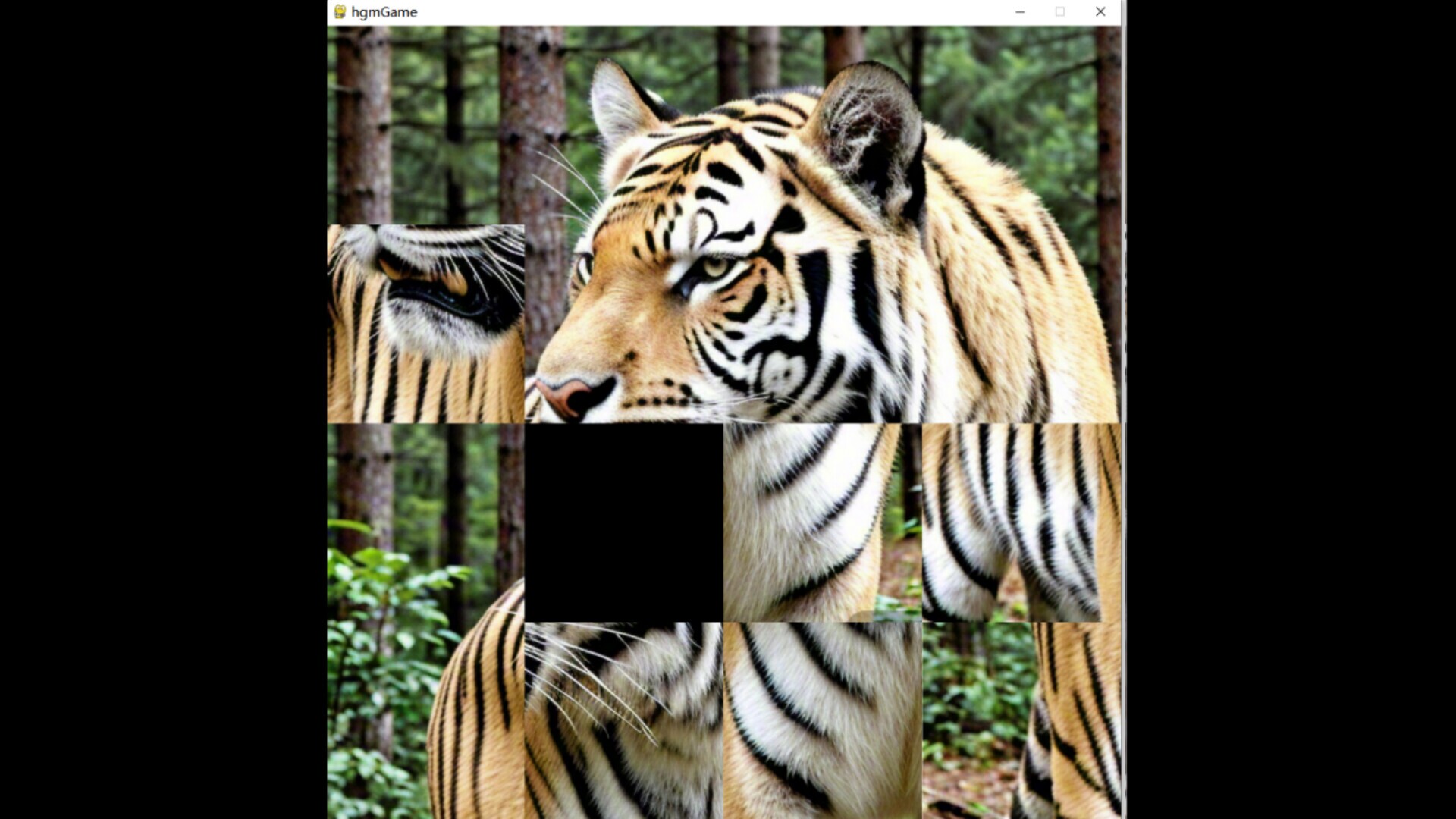 hgmGame-tiger gameplay visual