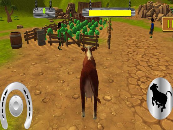 Angry Farm Cow In Action