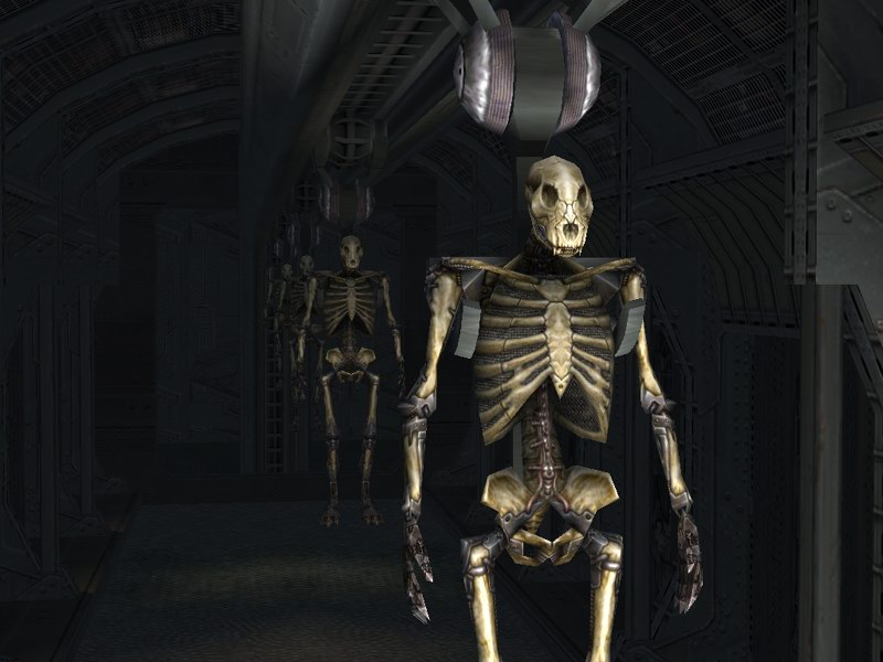 Image 381562