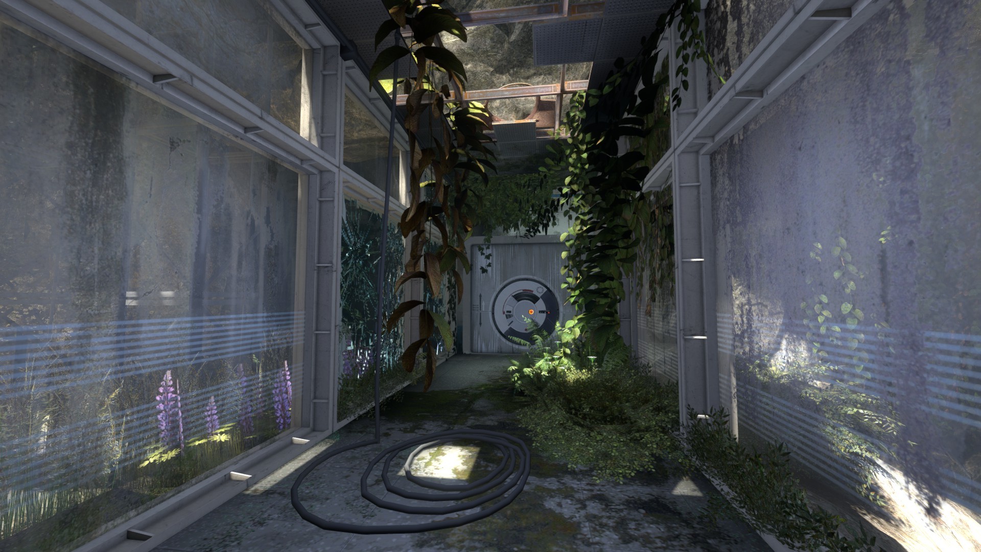 Image 3996512