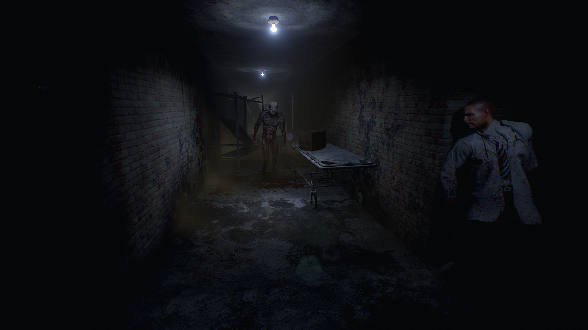 Image 72135