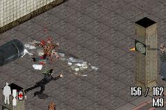 Image 3586956