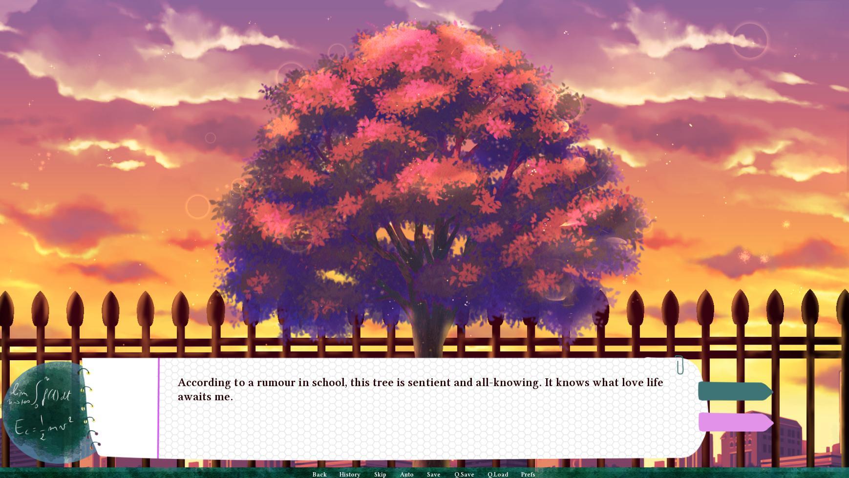 The Stories of the Boys I Loved