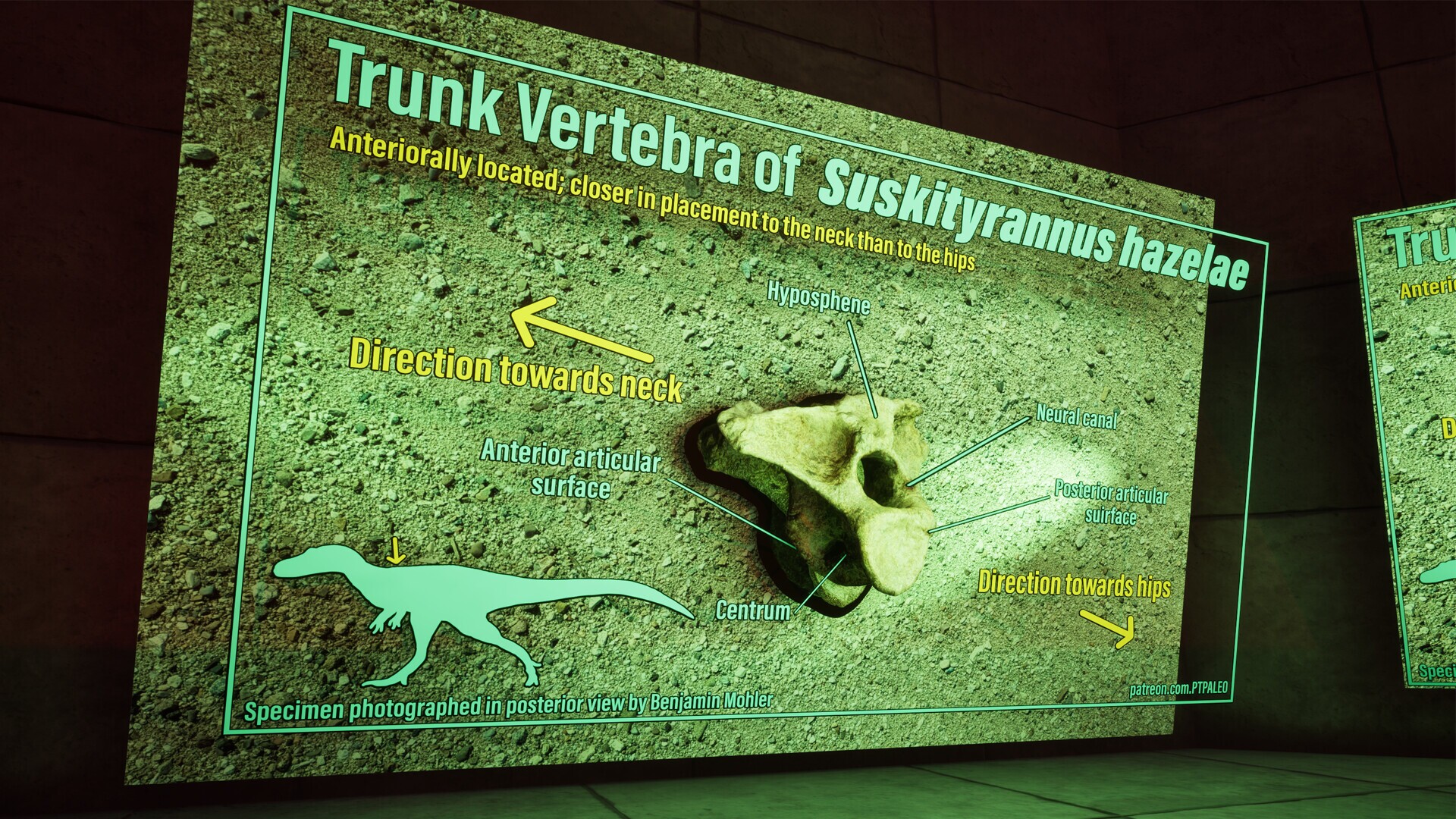 SHADOWBOX: Mausoleum of Natural History