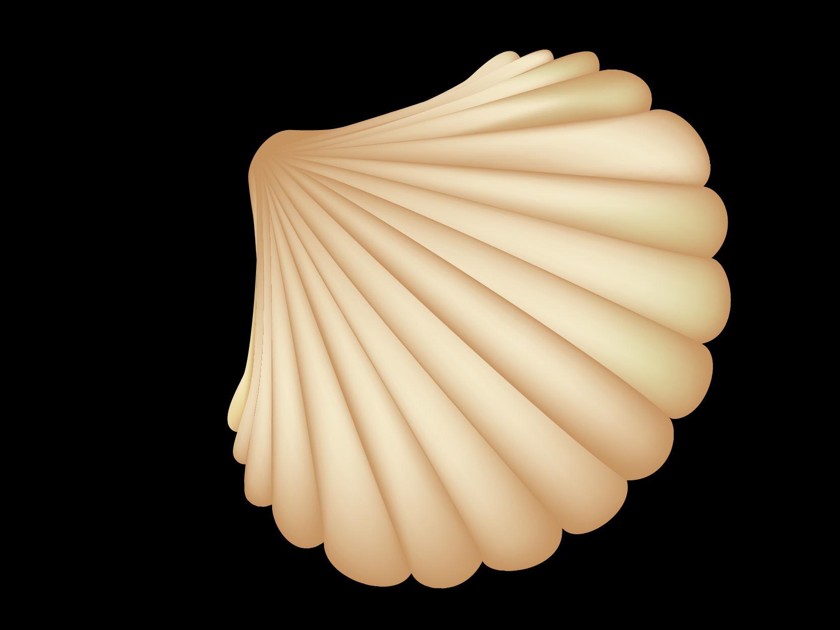 Shell game