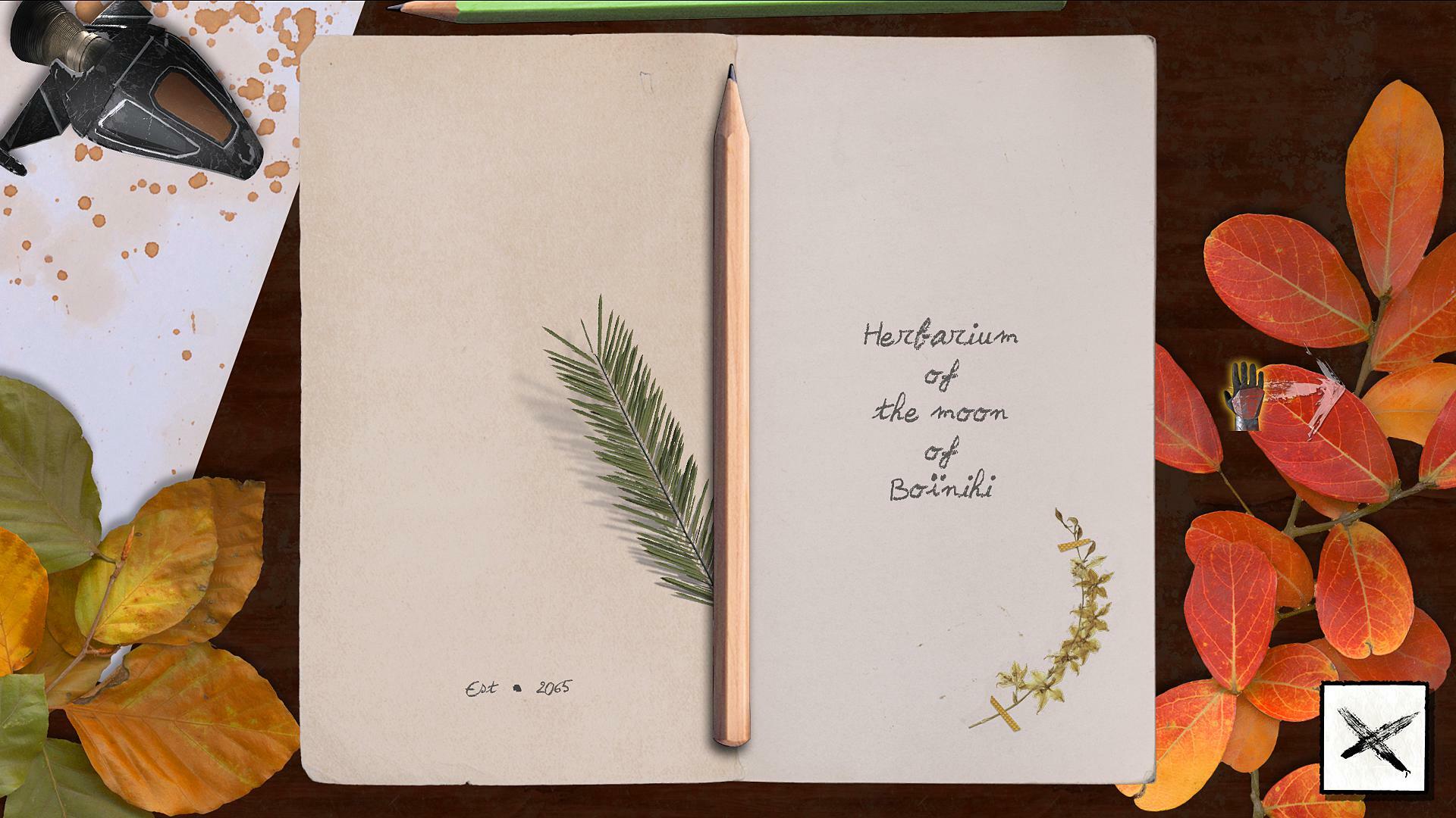 Boinihi: The K'i Codex