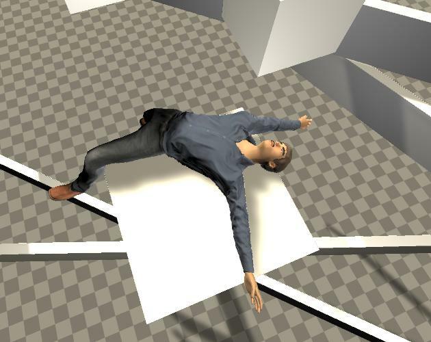 Ragdoll Test (Genesz)