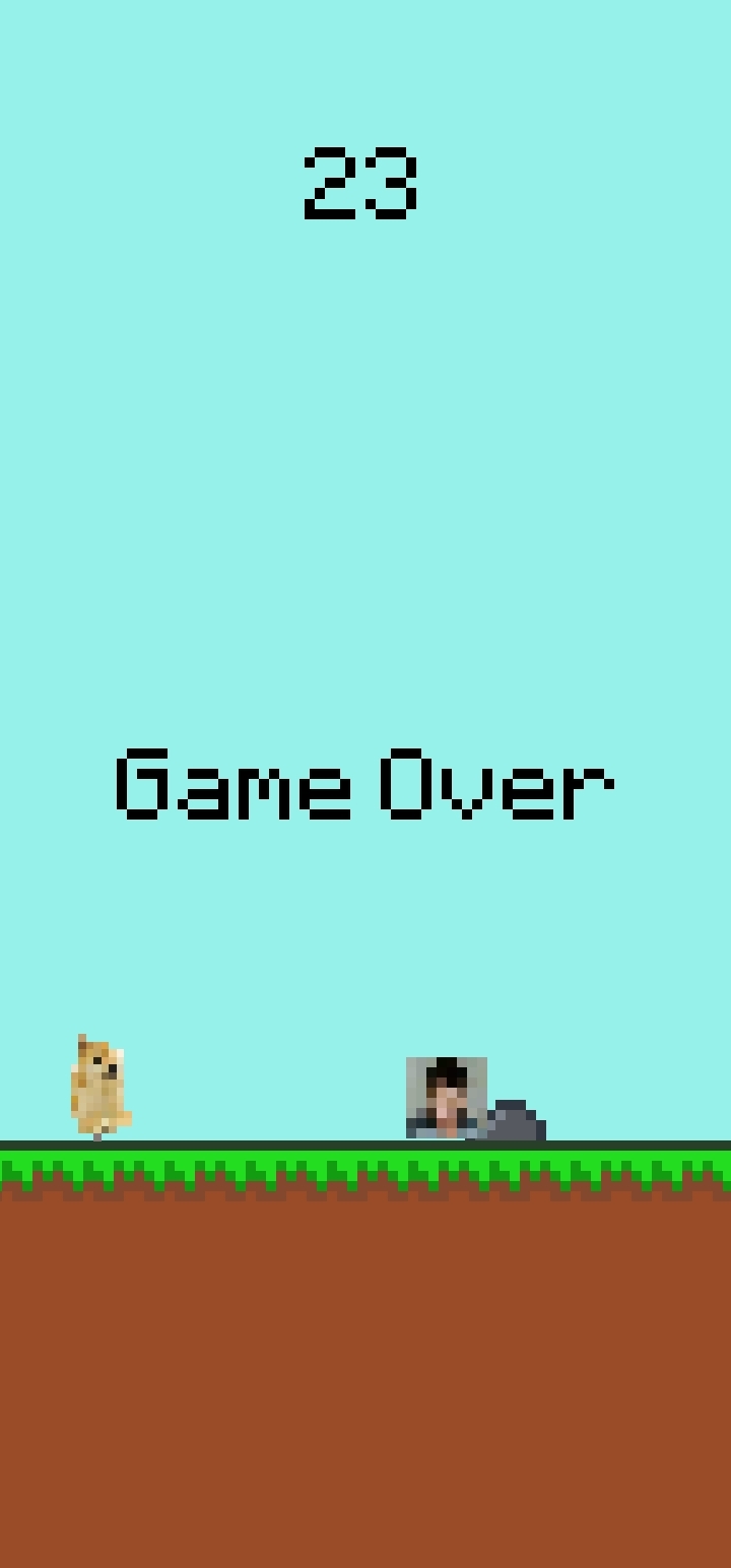 Apabila dikejar Anjing