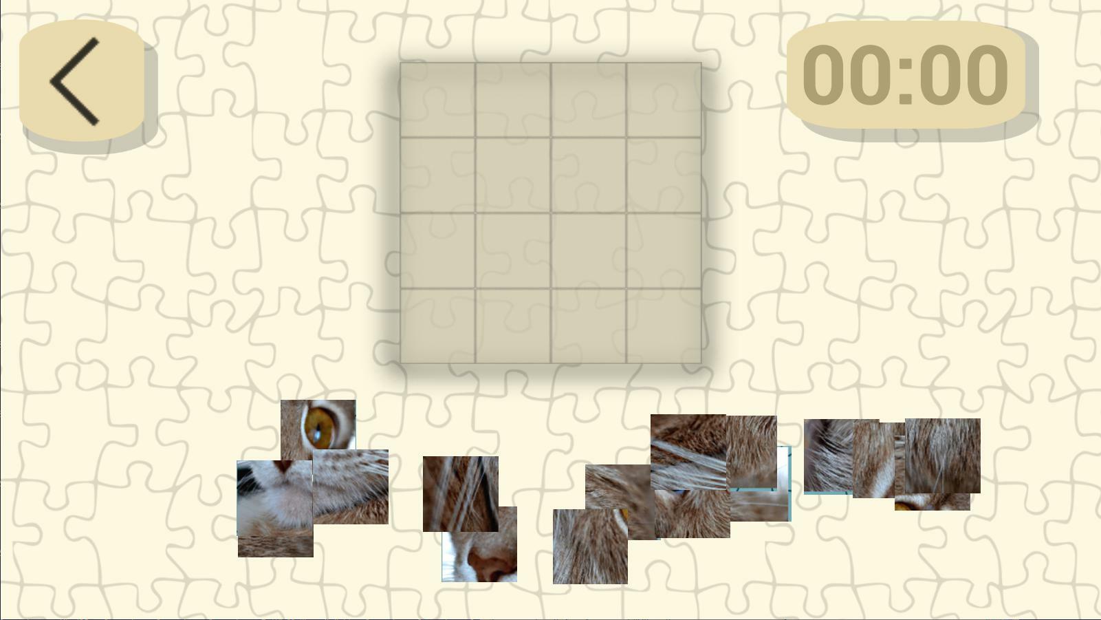 Ultimate Puzzles Collection