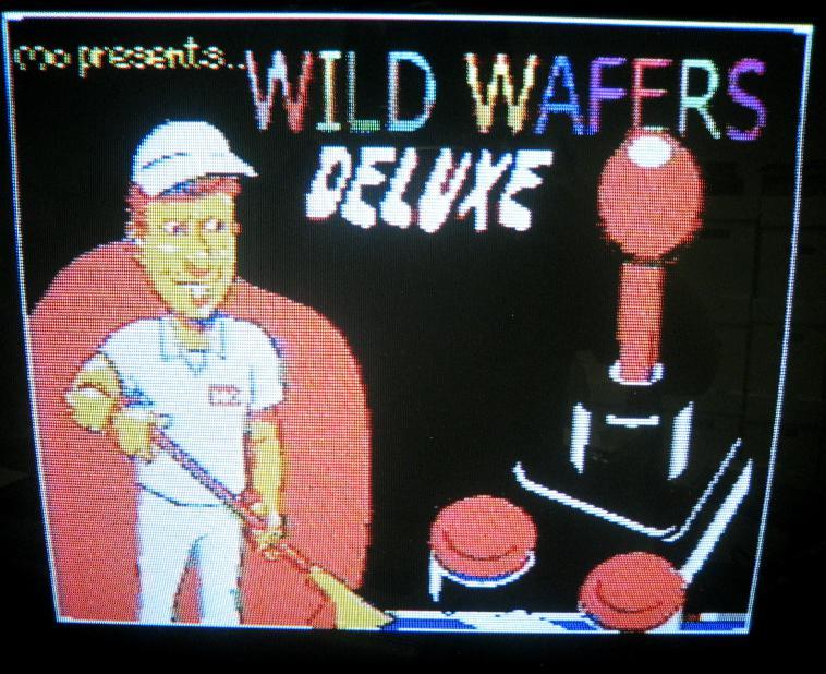 Wild Wafers Deluxe (C64) Commodore 64