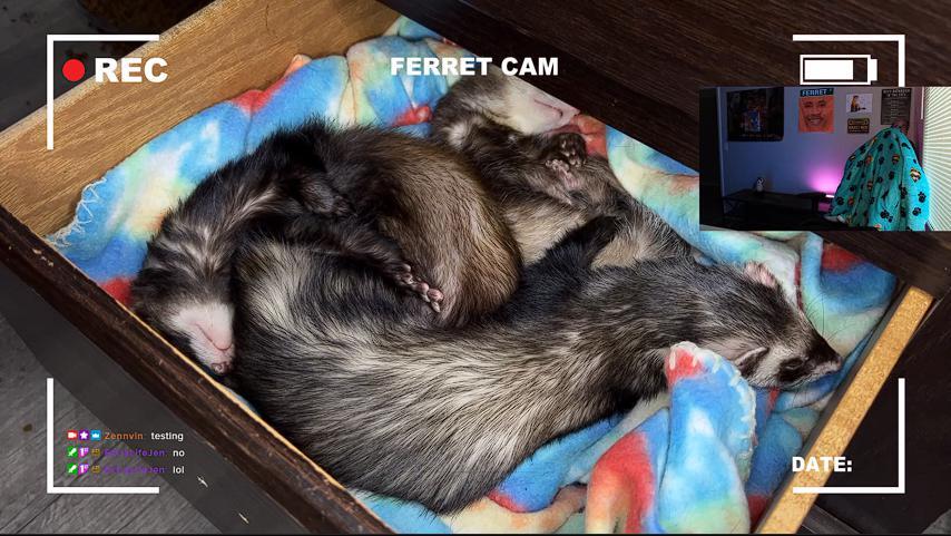 Dook's Den