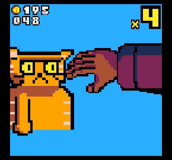 Amateur Cat High Five Challenge