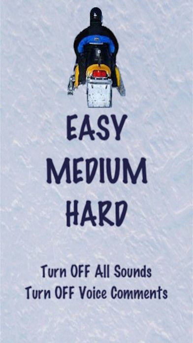 Snowmobile Slalom Racer