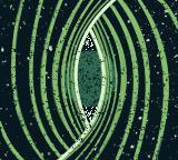 The Gallery (Deithwyr)