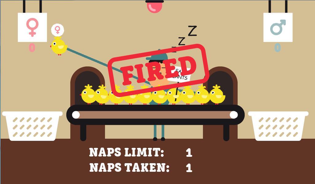 Sleepy Chicken Sexer