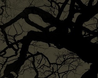 A Night with the Obda