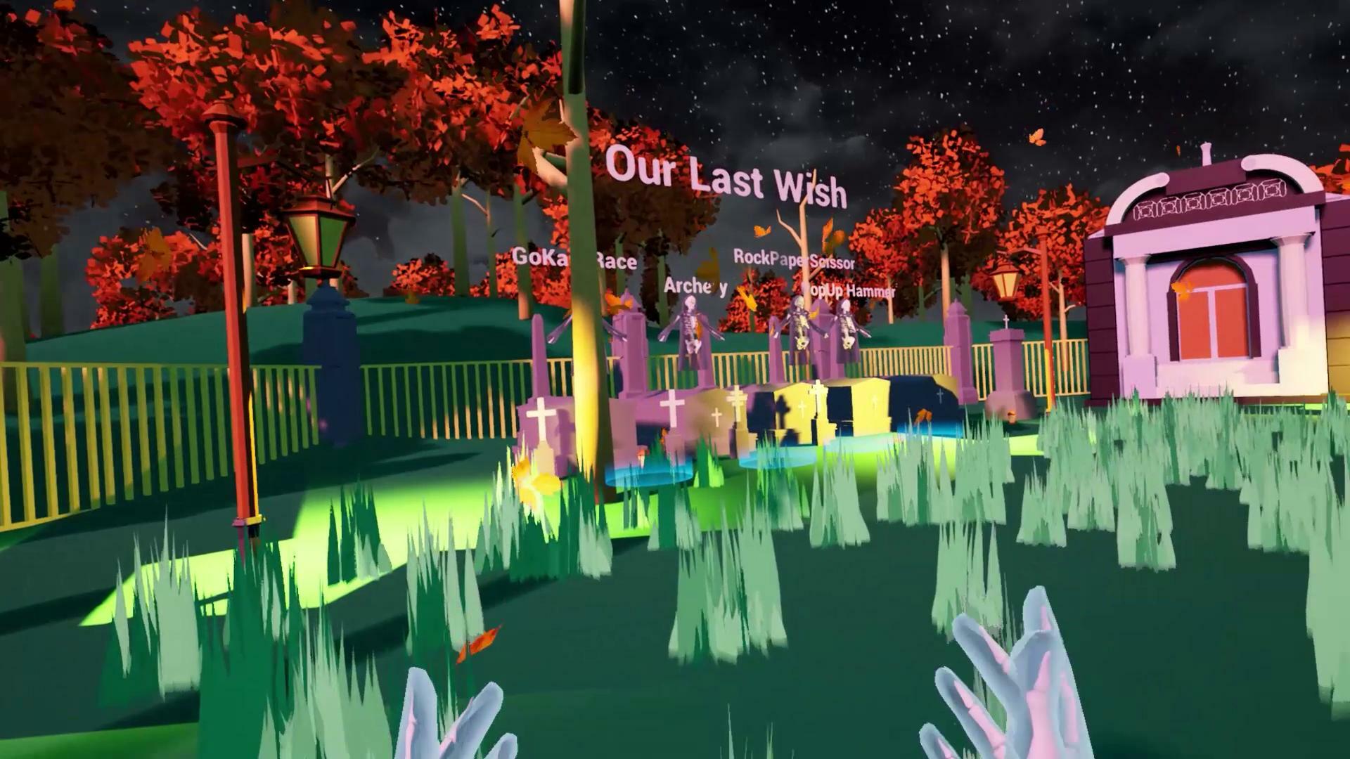 VR-Last Wish