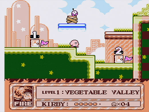 Kirby's Adventure