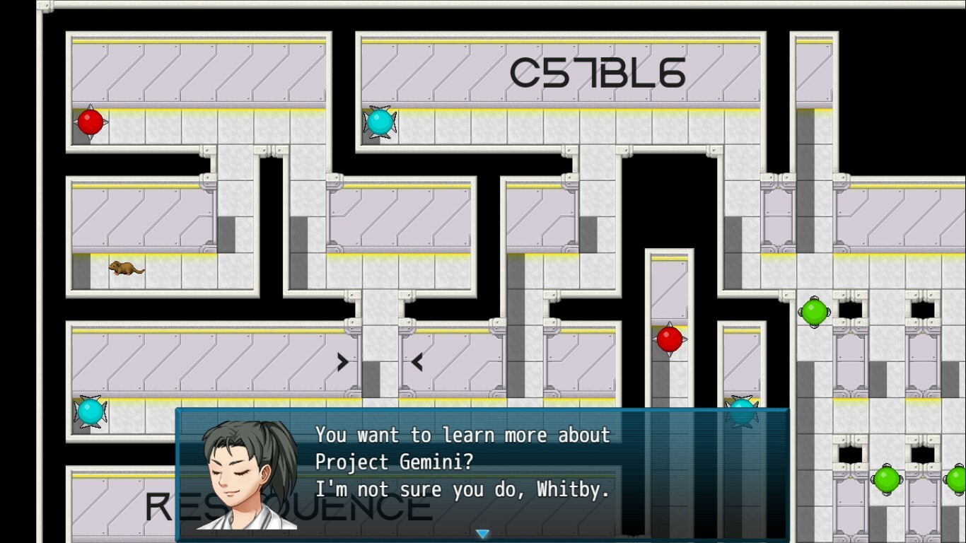 Maze Escape - Whiskers & Tail