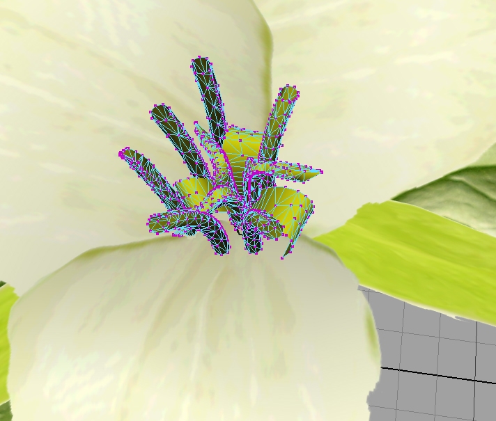 The Virtual Trillium Trail v. 2.0.4