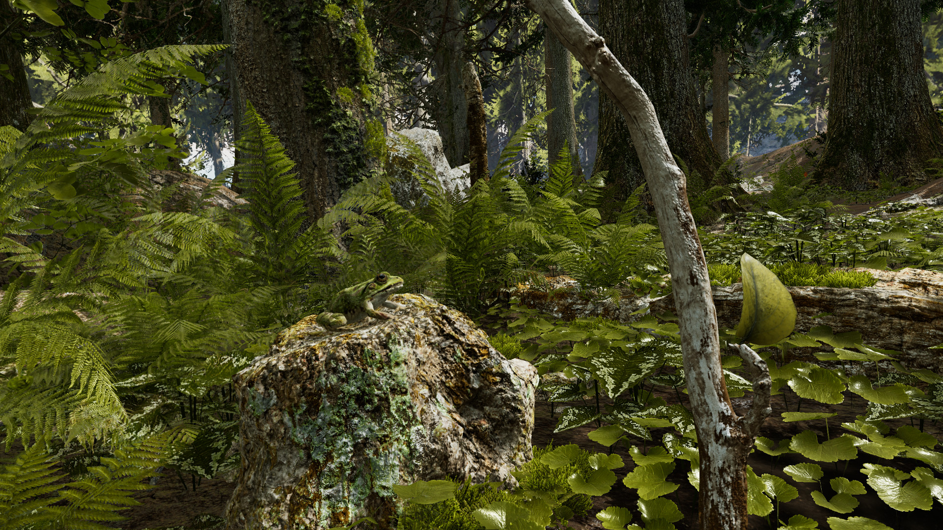 Image 714082