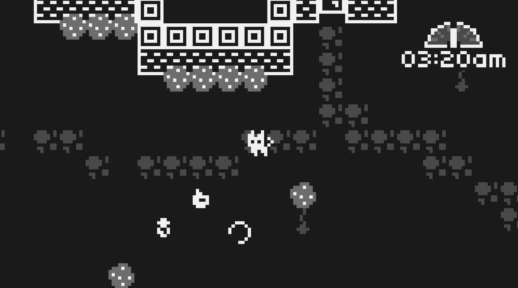 What does my cat do at night?