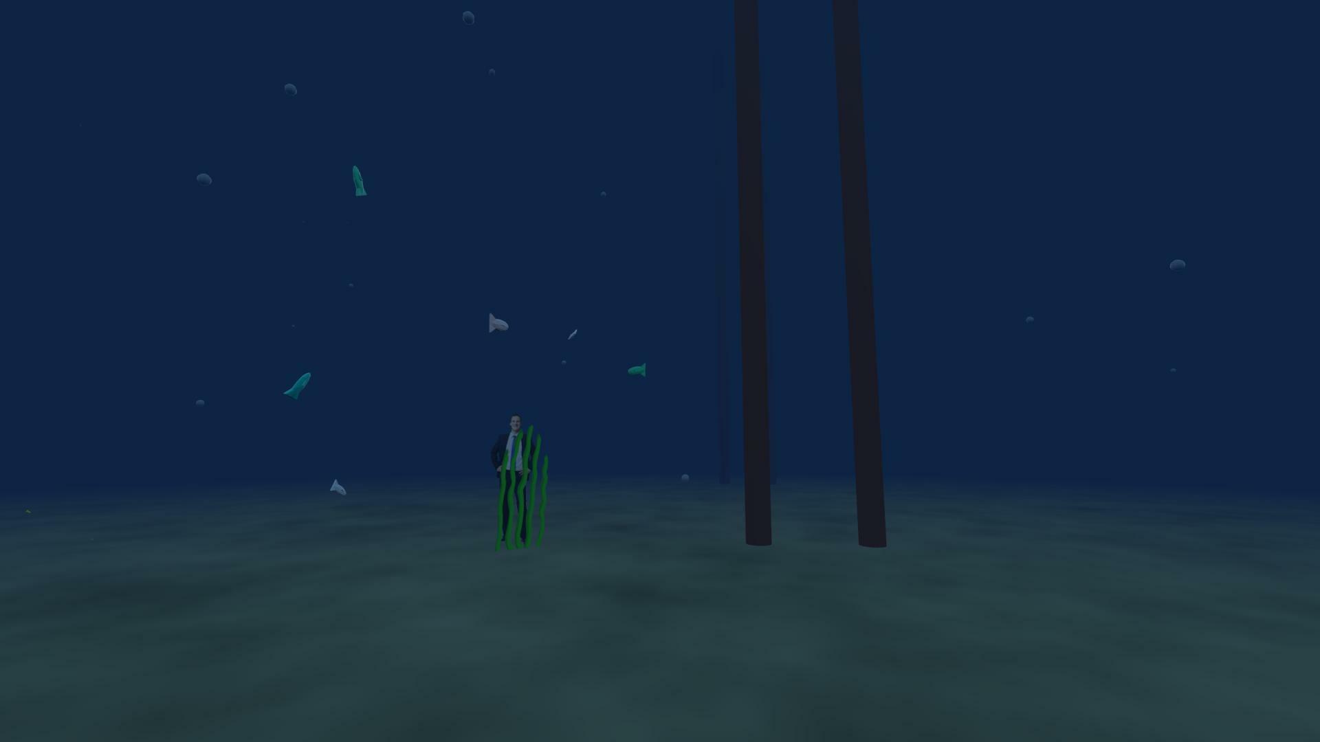 climb a ladder into the ocean